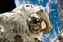 Poster, Many Sizes Available; Astronaut Spacewalk Sts-121,