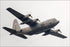 Poster, Many Sizes Available; A U.S. Air Force C 130 Hercules Aircraft Assigned To The 36Th Airlift Squadron Flies Over Yokota Air Base, Jap