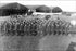 Poster, Many Sizes Available; 34Th Aero Squadron, Tours Aerodrome, France, November 1917