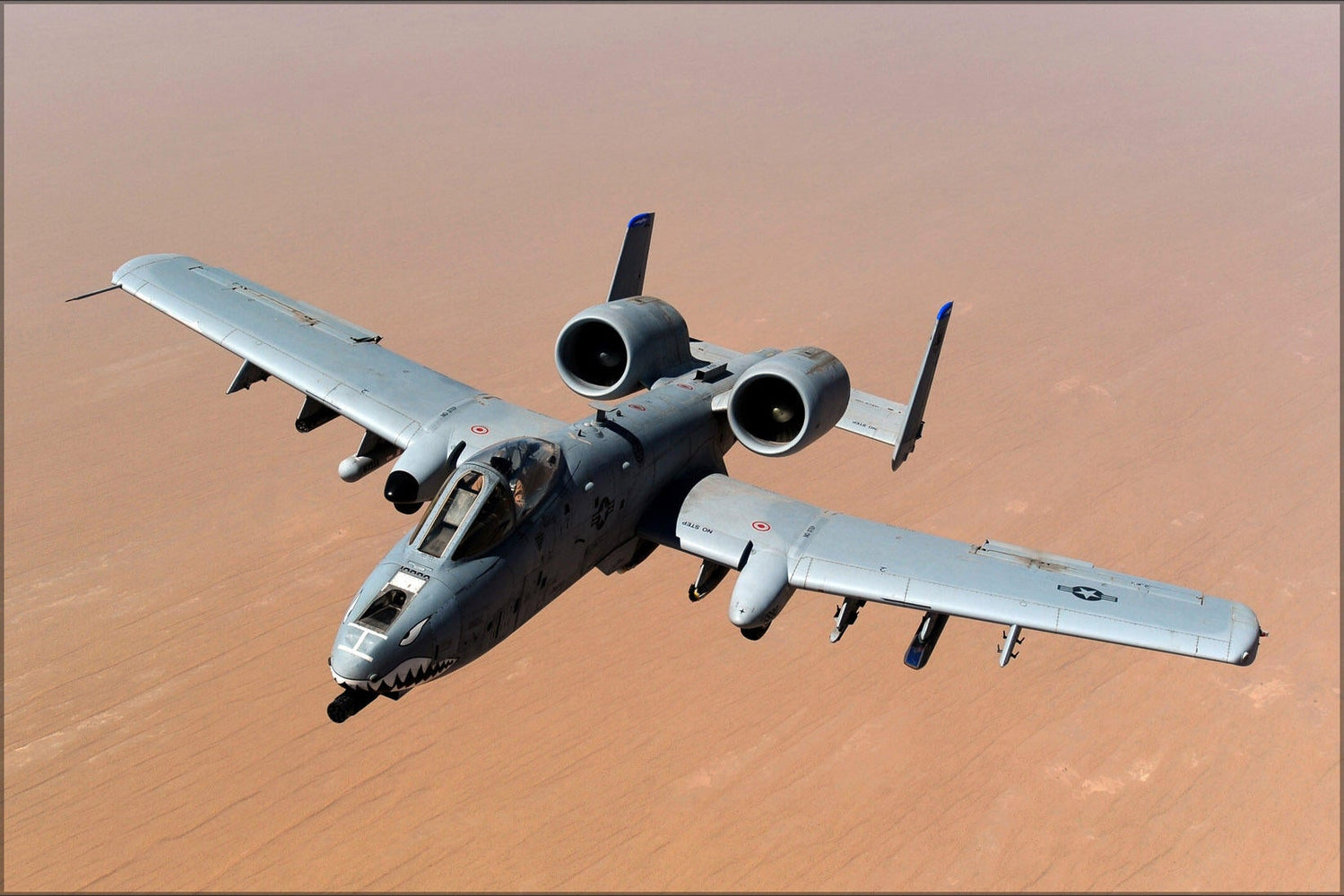 Poster, Many Sizes Available; A-10 Thunderbolt Ii Warthog, 74Th Fighter Squadron