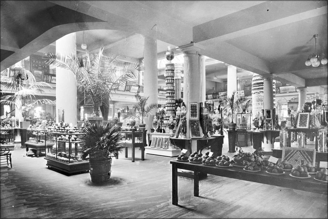 Poster, Many Sizes Available; Interior View Of The Exhibit Room Of The Los Angeles Area Chamber Of Commerce, Ca.1900-1905 (Chs-2339) #031715