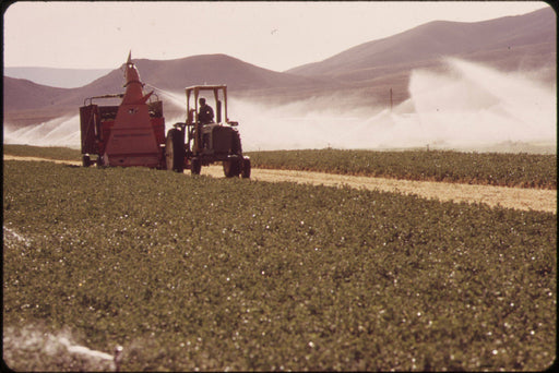 Poster, Many Sizes Available; Irrigating An Alfalfa Field On An Experimental Farm Operated By Epa&#39;S Las Vegas National Research Center Nara