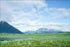 Poster, Many Sizes; Alaska Scenery Landscape