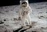 24"x36" Gallery Poster, man on the moon buzz aldrin apollo 11