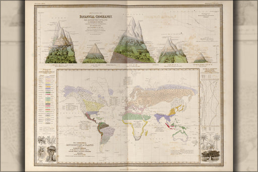 24"x36" Gallery Poster, map of Botanical Geography of the World 1848