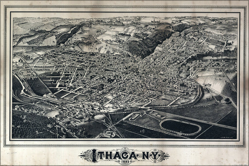 24"x36" Gallery Poster, map of Ithaca, New york 1882
