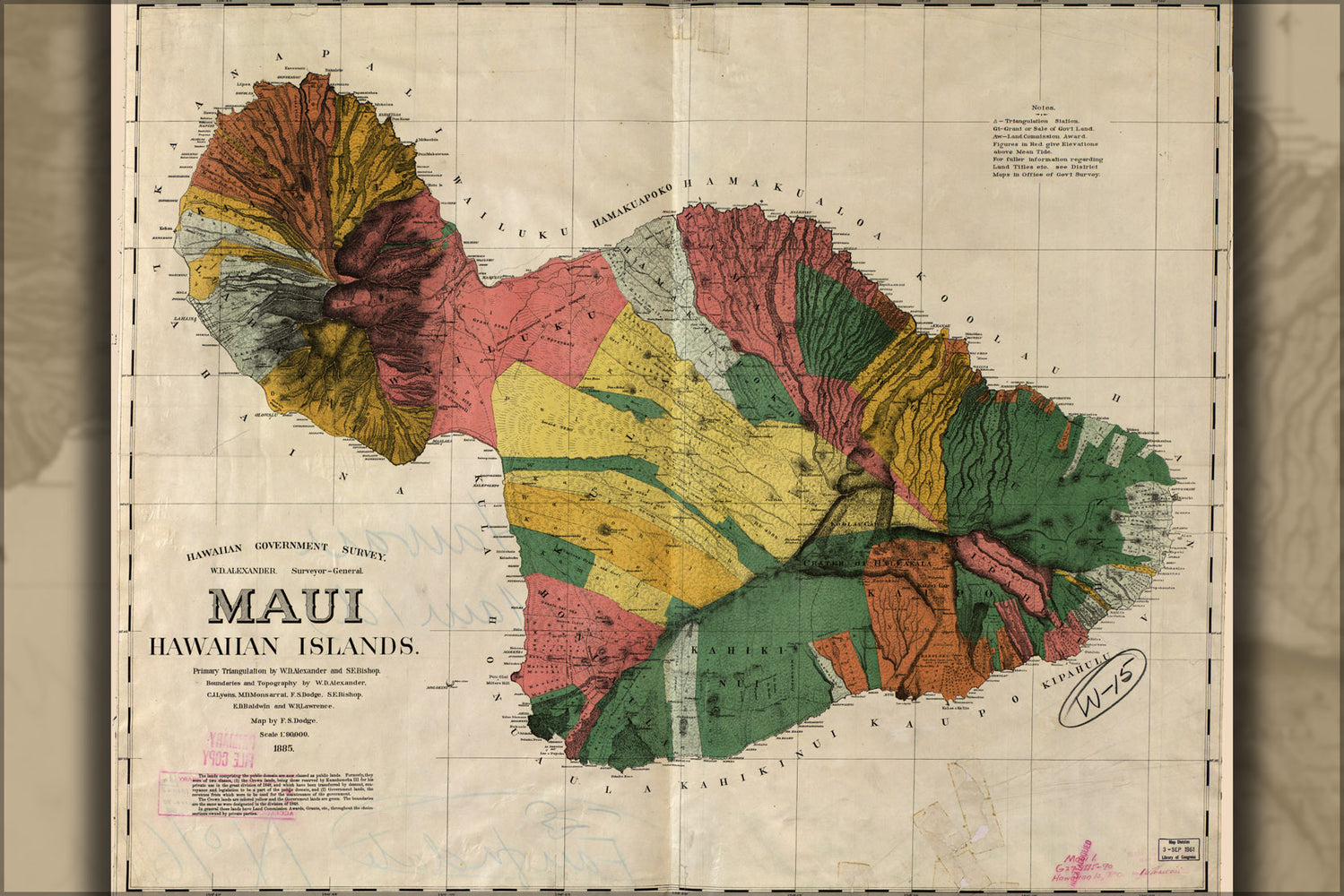 24"x36" Gallery Poster, map of Maui, Hawaii 1885