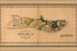 24"x36" Gallery Poster, map of Molokai hawaii 1897
