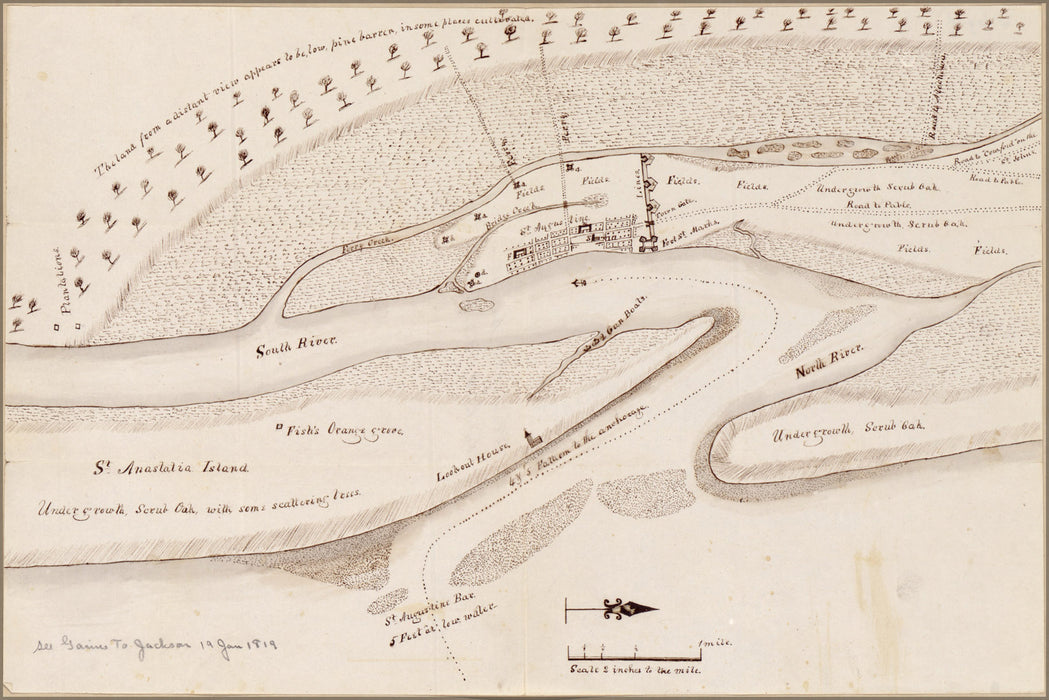24"x36" Gallery Poster, map of St. Augustine florida 1819 saint