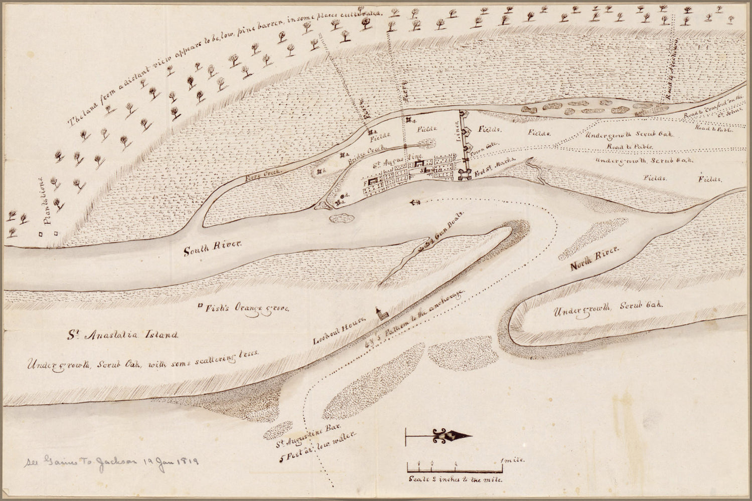 24"x36" Gallery Poster, map of St. Augustine florida 1819 saint