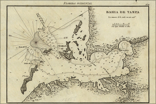 24"x36" Gallery Poster, map of Tampa Bay florida 1809