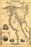 24"x36" Gallery Poster, map of ancient Egypt published 1851