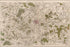 24"x36" Gallery Poster, map of paris and environs 1793