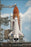 24"x36" Gallery Poster, space shuttle Endeavour sts-134 p3