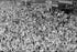 24"x36" Gallery Poster, times square v-j day